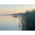 Bójázás a Balatonon