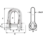 Kép 2/2 - Sekli captive "D"