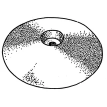 Anód tányér 70mm cink