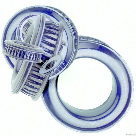 Tüskés ringli